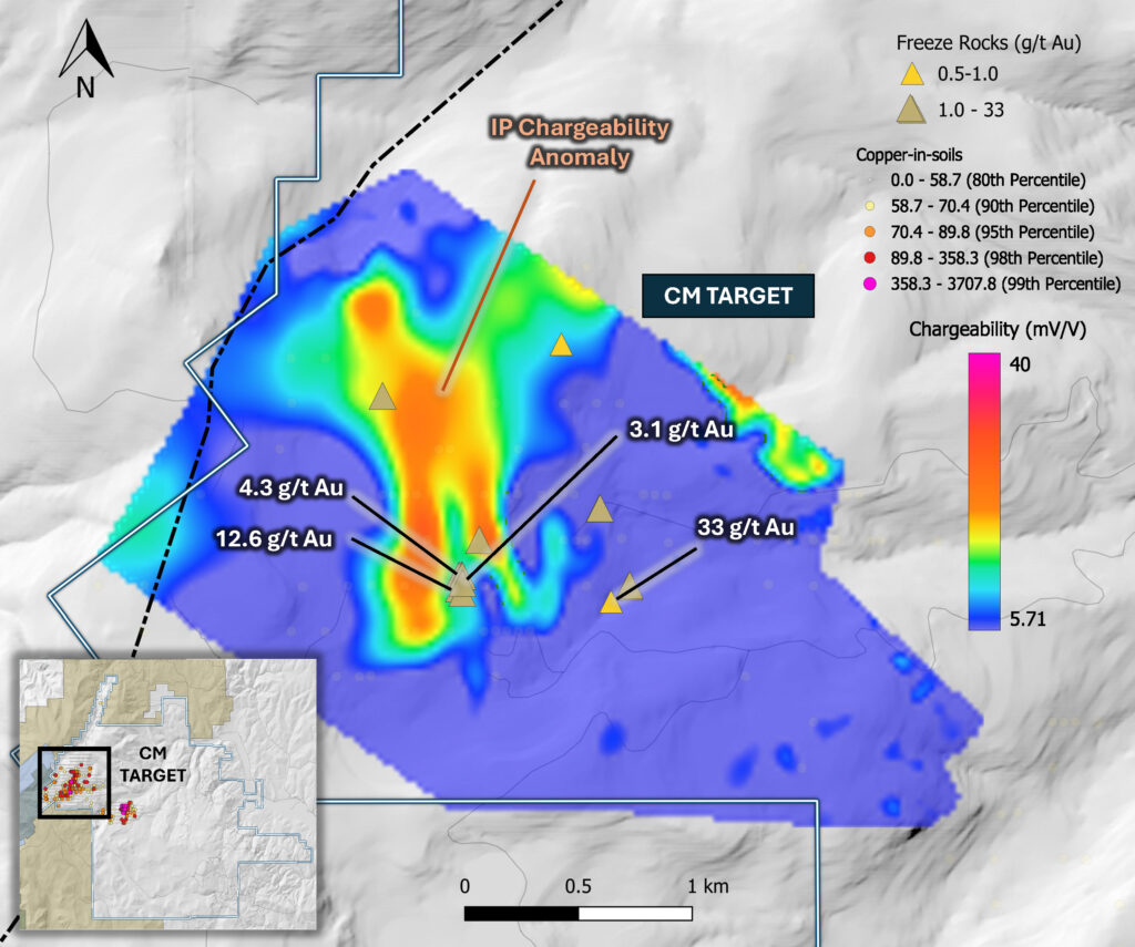 Idex Corporate Presentation July11 Website Page 7